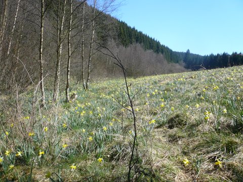 20150418-Wanderung